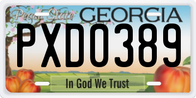 GA license plate PXD0389