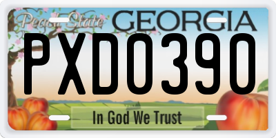 GA license plate PXD0390