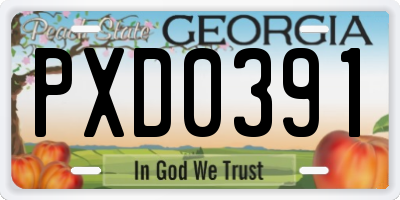 GA license plate PXD0391