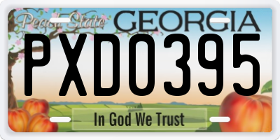 GA license plate PXD0395