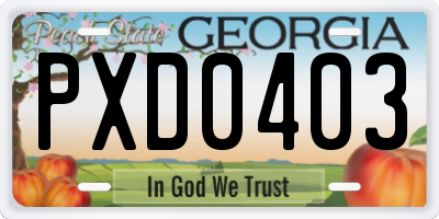 GA license plate PXD0403