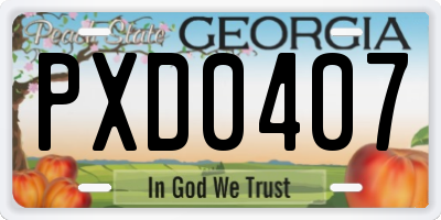 GA license plate PXD0407