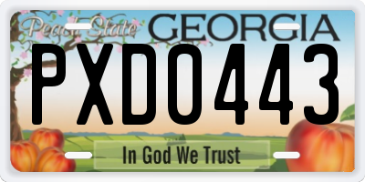 GA license plate PXD0443