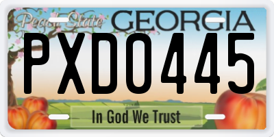 GA license plate PXD0445