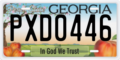 GA license plate PXD0446
