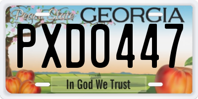 GA license plate PXD0447