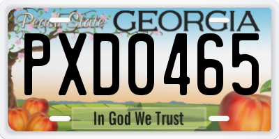 GA license plate PXD0465