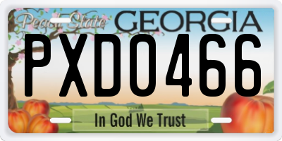 GA license plate PXD0466
