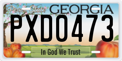 GA license plate PXD0473