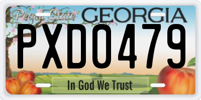 GA license plate PXD0479