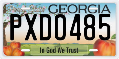 GA license plate PXD0485