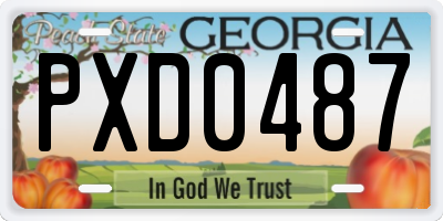 GA license plate PXD0487