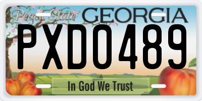 GA license plate PXD0489
