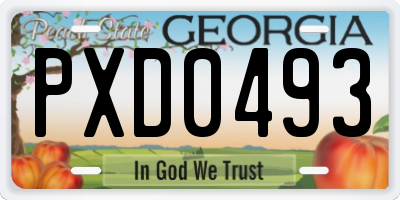 GA license plate PXD0493