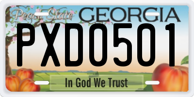 GA license plate PXD0501