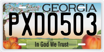 GA license plate PXD0503