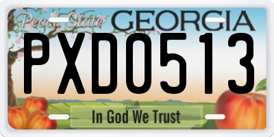 GA license plate PXD0513