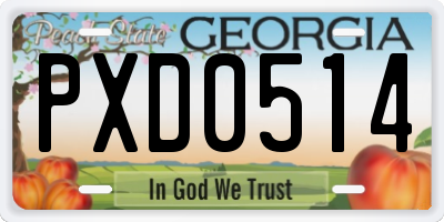 GA license plate PXD0514