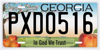 GA license plate PXD0516