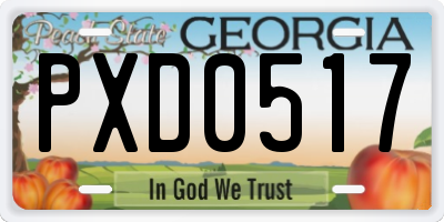 GA license plate PXD0517