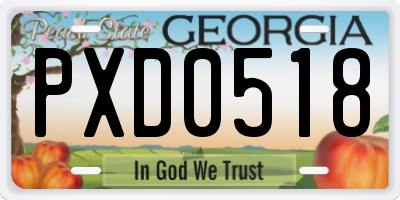 GA license plate PXD0518