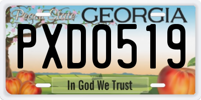 GA license plate PXD0519