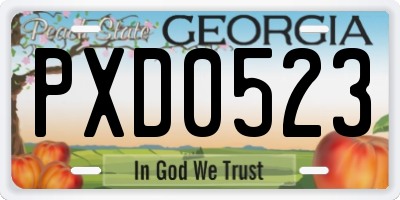 GA license plate PXD0523