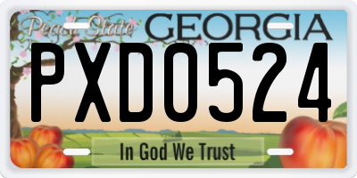 GA license plate PXD0524