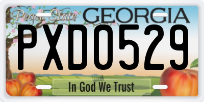 GA license plate PXD0529