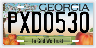 GA license plate PXD0530