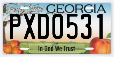 GA license plate PXD0531