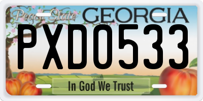 GA license plate PXD0533