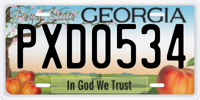 GA license plate PXD0534