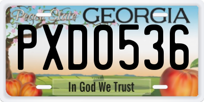 GA license plate PXD0536