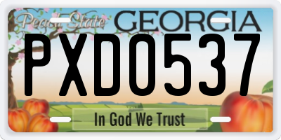 GA license plate PXD0537