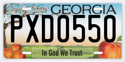 GA license plate PXD0550