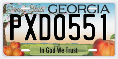 GA license plate PXD0551