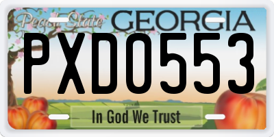 GA license plate PXD0553
