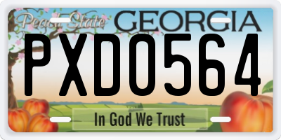 GA license plate PXD0564