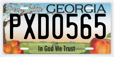 GA license plate PXD0565