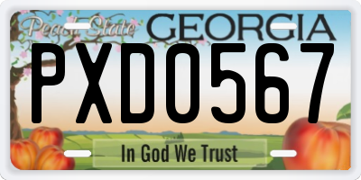 GA license plate PXD0567