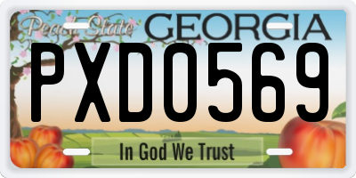 GA license plate PXD0569