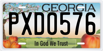 GA license plate PXD0576