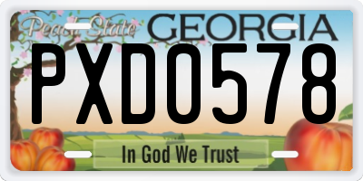 GA license plate PXD0578