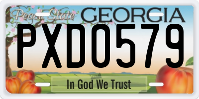 GA license plate PXD0579