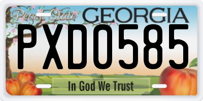 GA license plate PXD0585