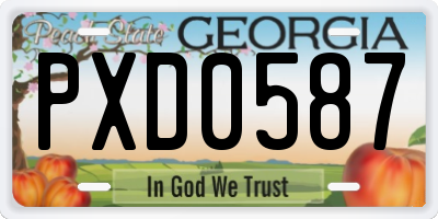 GA license plate PXD0587