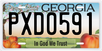 GA license plate PXD0591
