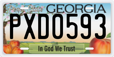 GA license plate PXD0593