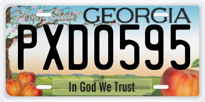 GA license plate PXD0595